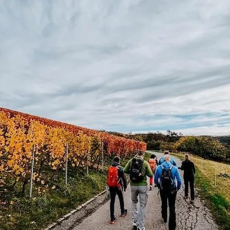 Grosse In Den Weinbergen * Oehringen
